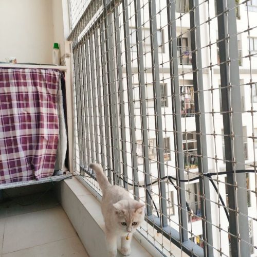lưới chống mèo hòa phát
